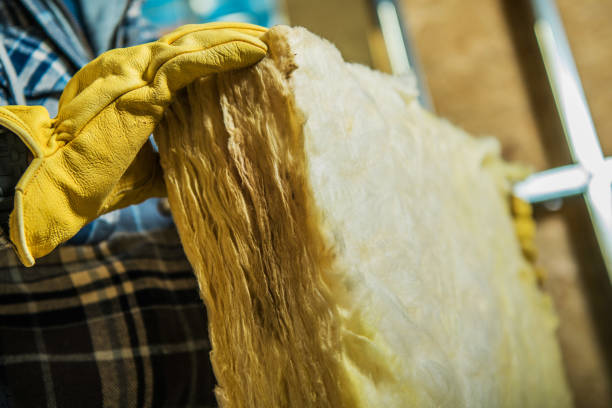 Best Residential Insulation in Kemah, TX
