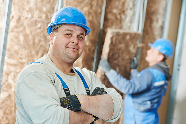 Best Insulation Installation Services in Kemah, TX