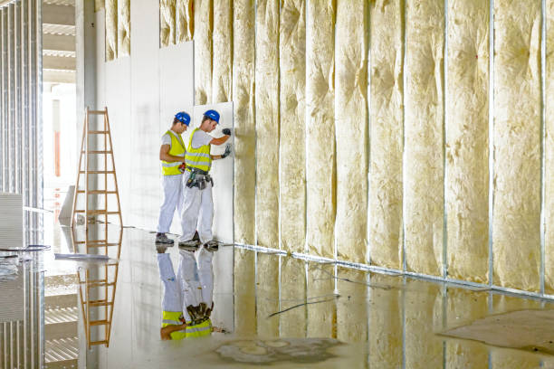 Best Types of Insulation in Kemah, TX